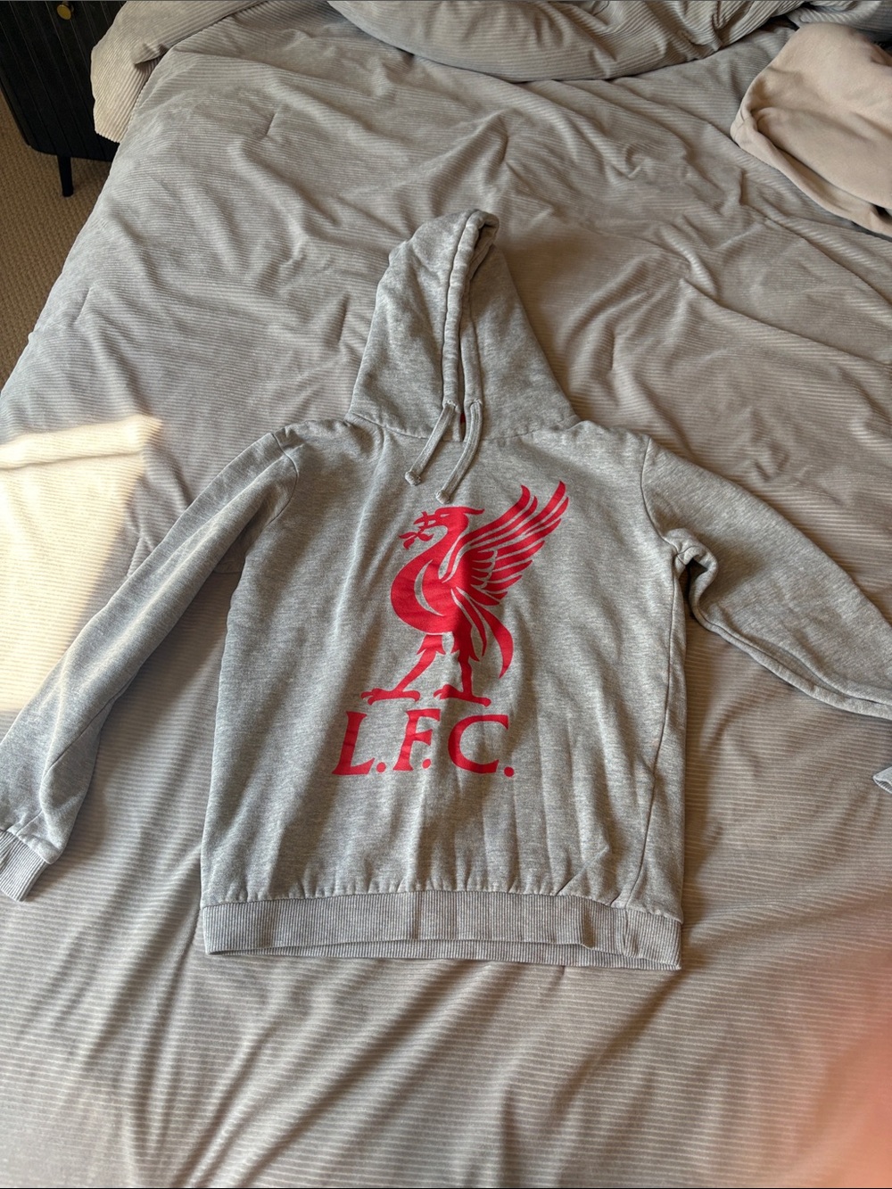 Liverpool Grey V-Neck Sweater with Red Liverbird Logo